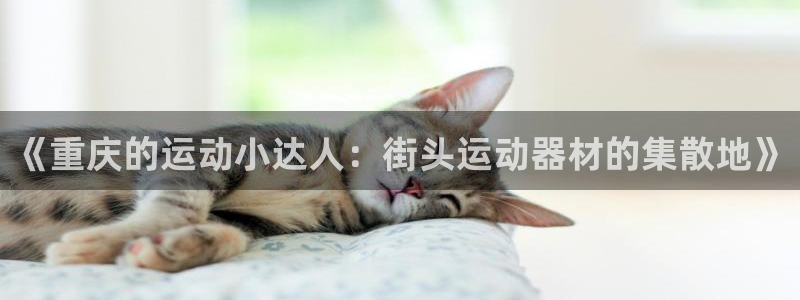 意昂体育5(KGAME)平台假的吗是真的吗吗：《重庆