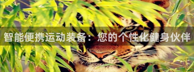 意昂体育5(KGAME)招商电话号码查询是多少：智能