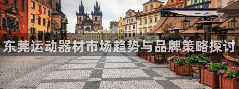 意昂5(KGAME)娱乐是那个系列的台子：东莞运动器材市场趋