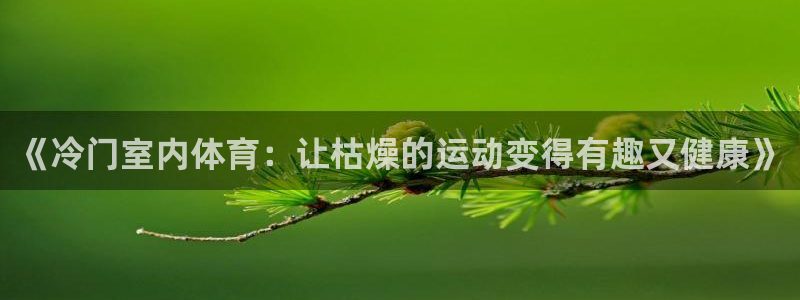 中欧体育网址：《冷门室内体育：让枯燥的运动变得有趣又健康》