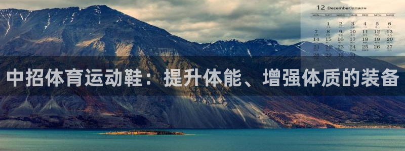 中欧体育平台：中招体育运动鞋：提升体能、增强体质的装备