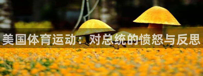 中欧体育登录：美国体育运动：对总统的愤怒与反思