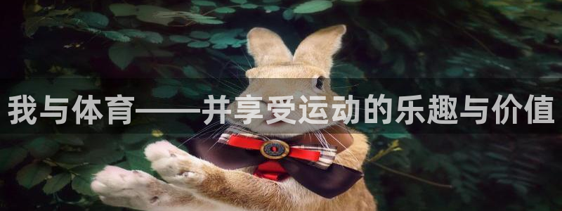 中欧体育在线：我与体育——并享受运动的乐趣与价值