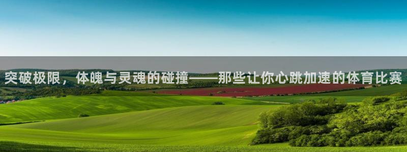 中欧体育ios：突破极限，体魄与灵魂的碰撞——那些让你心跳加速的体育比赛